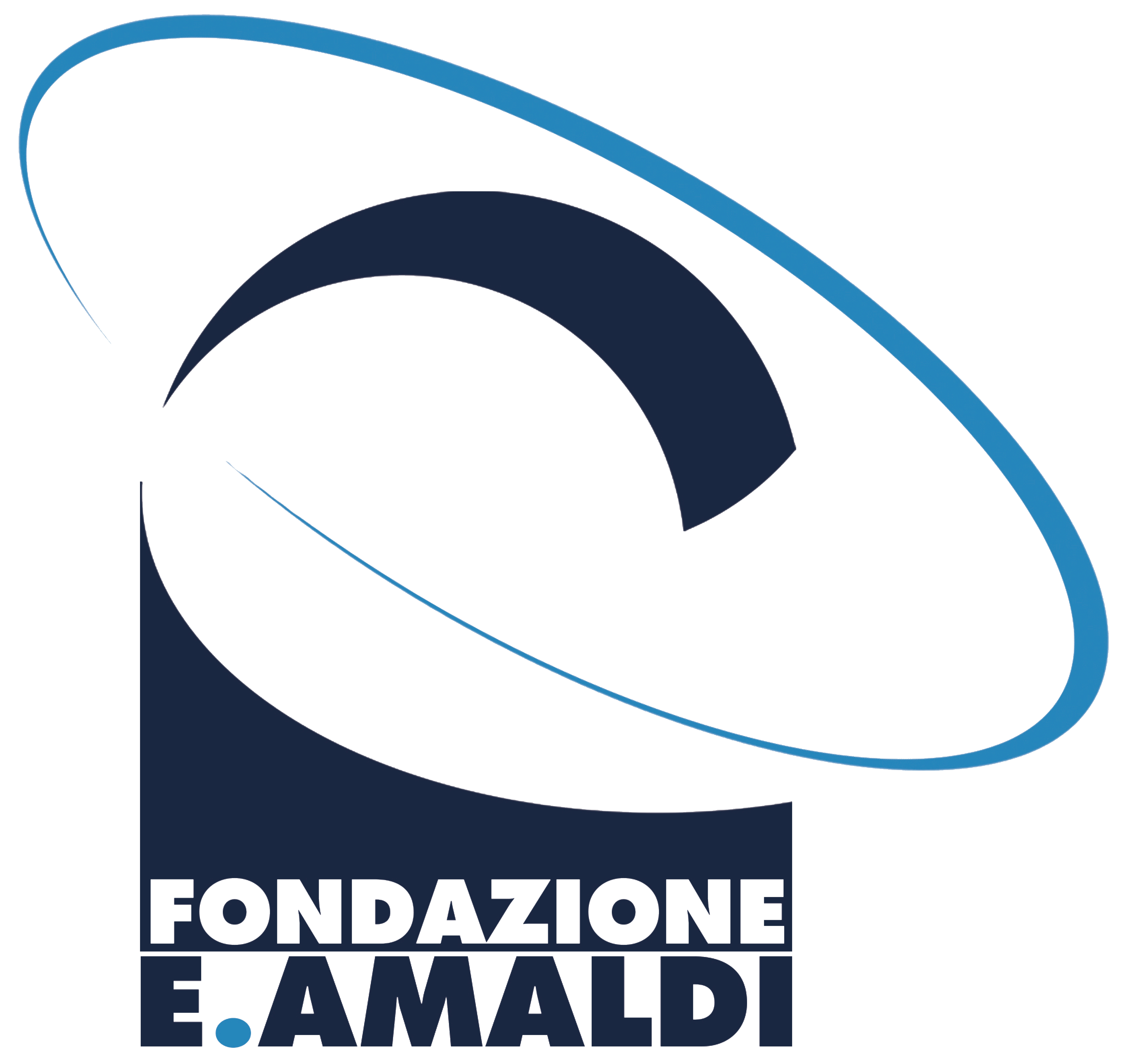 Fondazione E. Amaldi